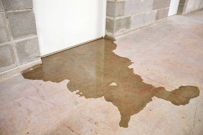 Water Extraction, Dry Basement